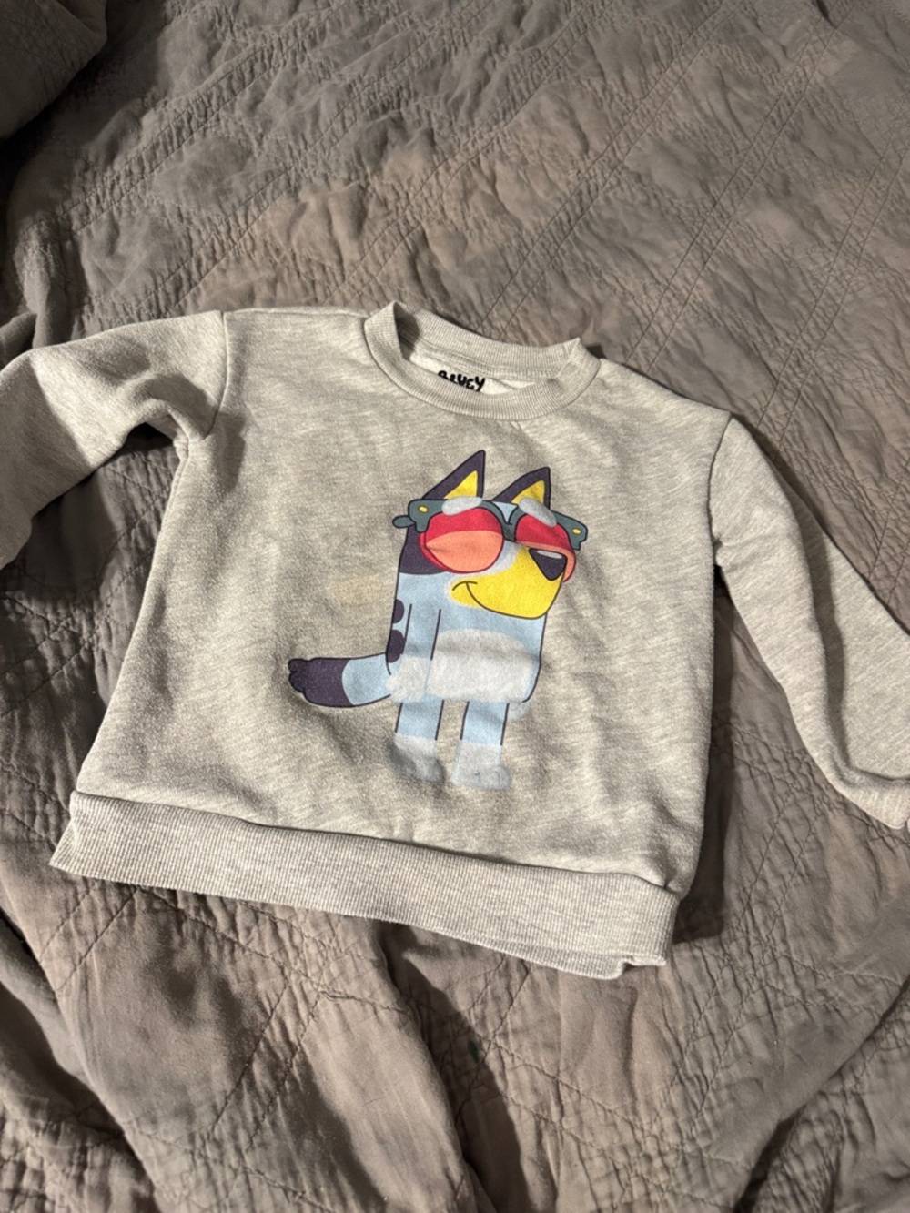 Kids Grey Sweatshirt with Cartoon Dog Graphic